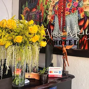 Alma Maya Hotel